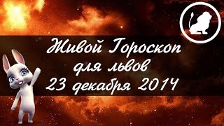 Гороскоп для ЛЬВОВ ♌ на 23 декабря от Зайки Zoobe