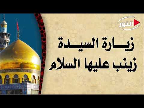 زيارة السيدة زينب عليها السلام بصوت رضا زين الدين