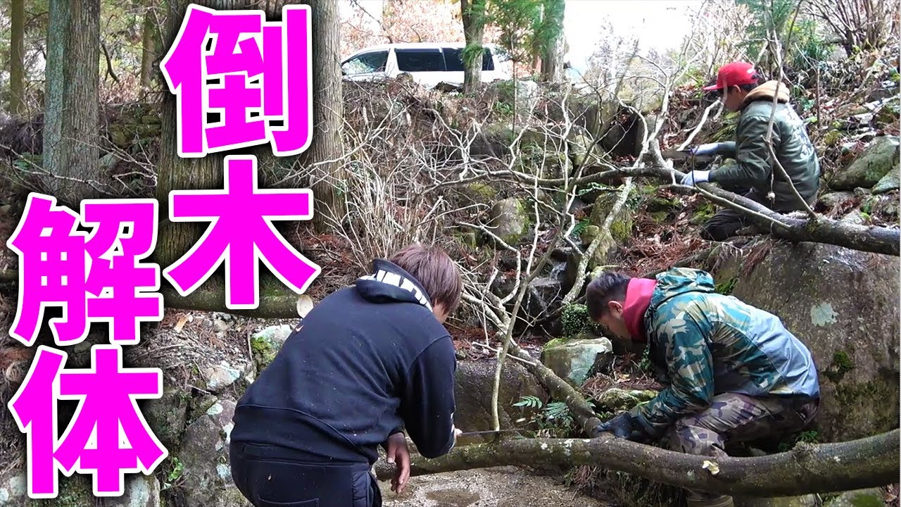 【山復興#308】おっちゃんの山の倒れた木を解体する！！