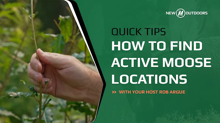 Finding Moose Signs & More (Quick Tip from New Outdoors)
