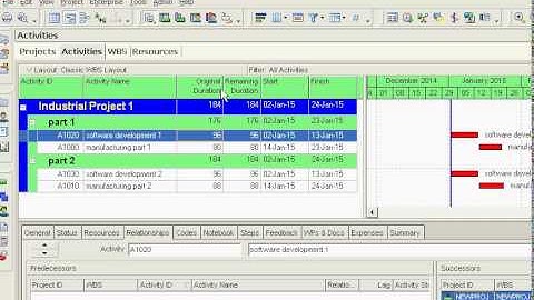 Primavera P6 change duration format to hours weeks days