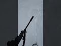 Tracking a Coyote Tracking a Snowshoe Rabbit. #outdoors #dsarms #relentless