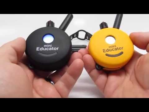 E-Collar Technologies Mini Educator ET-300 2T 2 Remotes - YouTube