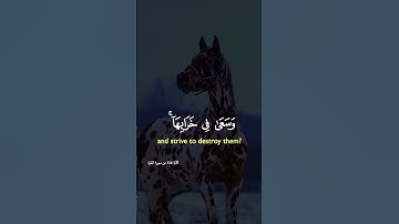 #تلاوة_خاشعة  ايات من كتاب الله ارح قلبك وسمعك #القرآن_الكريم #لايك #راحة_نفسية #دويتو  #تلاوات