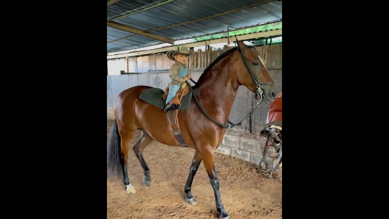 Niño a caballo 🐴