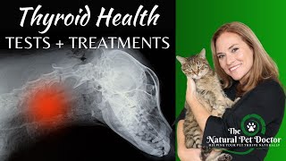 Thyroid Problems In Dogs and Cats With Dr. Katie Woodley  The Natural Pet Doctor