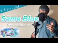 【フル歌詞】「Same Blue」/Official髭男dism【アオのハコOP曲】(Covered by 一倉シン)