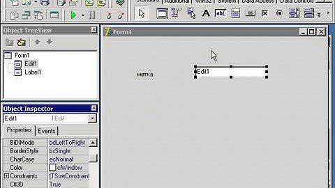 21 Delphi 7 Компоненты Label, Edit, Memo