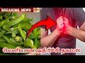 வெண்டைக்காய் சாப்பிட்ட பிறகு இந்த 2 உணவுகளை சாப்பிட்டால் ஆபத்து! 90% பேர் செய்யும் தவறு 😱