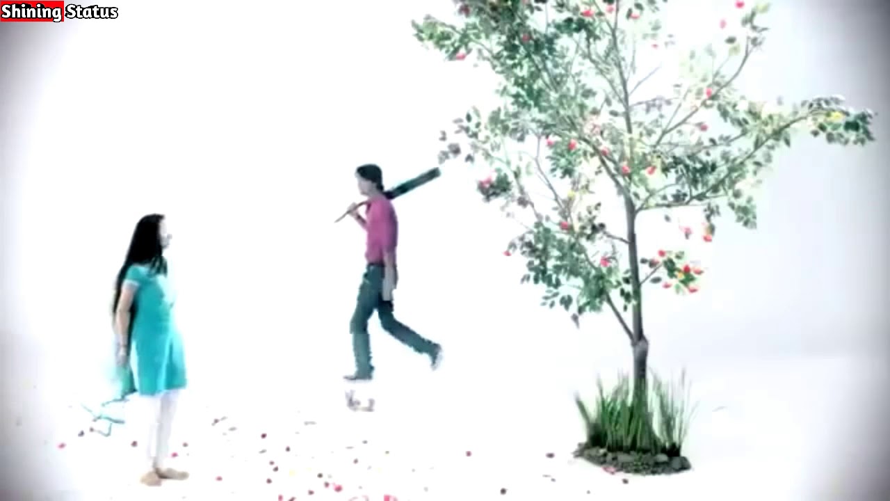 Lovely Couple Status 😘 2018 Best Status 😍