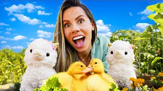 BABYSITTING THE CUTEST DUCKS !