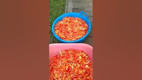 Casne sestre spremaju zimnicu .