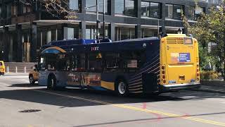 M15 SBS, M20 & M55 Buses Action at South Ferry