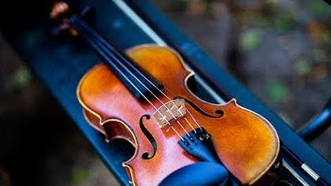 Violin_ feel🎻 // mainstage3 // logicprox