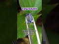 BLUE SAPPHIRE RHODOLITE GARNET PURPLE SPINEL #bluesapphire#rhodolitegarnet#purplespinel#klikpermata
