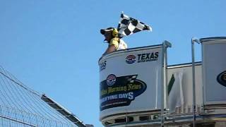 Checkered Flag in Qualifying