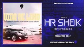 MC MINININ, MC MK DA ZL, MC SACI E MC LARANJINHA - VIDA DE LUXO (DJ GUSTOMARES E DJ 2K DO TAQUARIL)