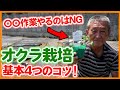 家庭菜園や農園でオクラ栽培の基本４つのコツ！多収穫野菜を栽培したいならコレ！間引き・植え付け・仕立て方法など疑問を解説！/ 4 points of okra cultivation