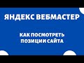 Проверка позиций сайта в Яндекс вебмастер 🔥 Как посмотреть позиции сайта