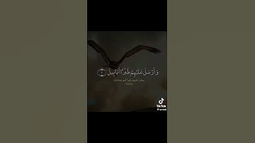 سورة الفيل 🐘#قرآن #ماهر المعيقلي