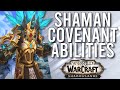 Shaman ALL COVENANT Abilities In Shadowlands! - WoW: Shadowlands Alpha