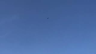 Full Chemical Trails + Flock of Birds feat 2 Hawks Patrol The Poisoned Air - SoCAL - 1/31/2025 428PM Update