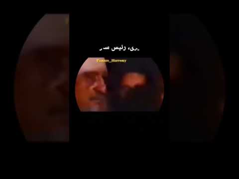 شاهرود و اختلافات استان