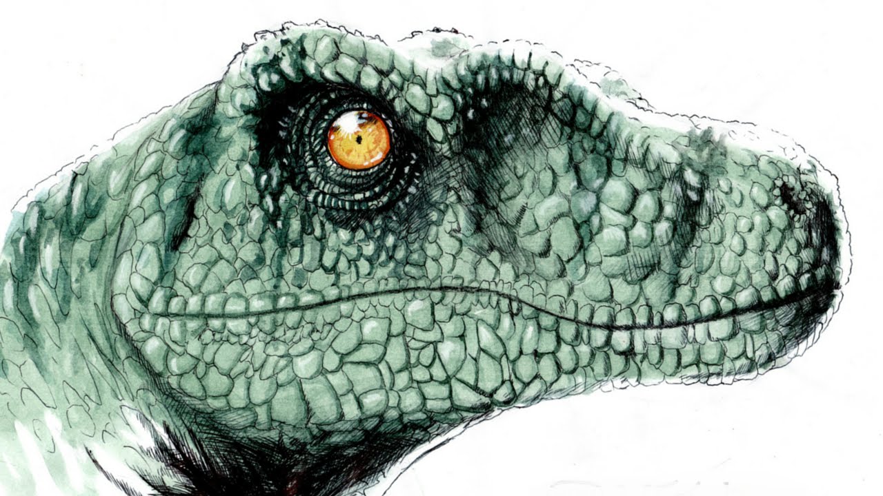 HOW to DRAW VELOCIRAPTOR disegno in time lapse dinosaur jurassic world