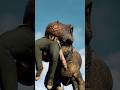 スピノサウルスが人間を捕食!/Spinosaurus eats humans! #dinosaur