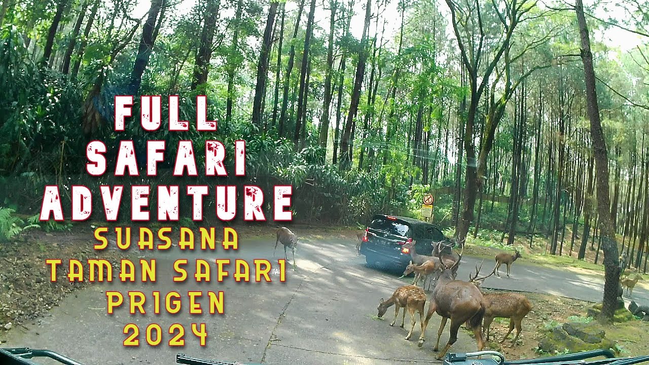 TAMAN SAFARI PRIGEN PASURUAN 2024 - YouTube