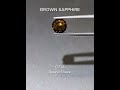Brown Sapphire