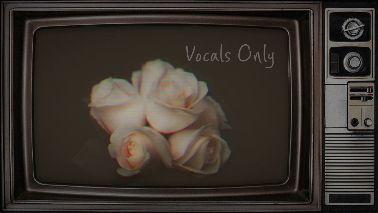 Pal Pal | Afusic | Vocals Only