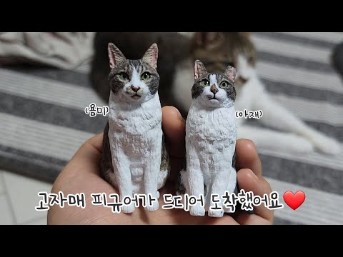 고자매 피규어가 드디어 도착했어요♥
