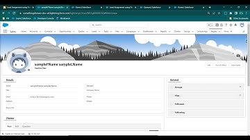 Lead Assignment using Flow, Assignment Rule (assigning to respective Queue) #inSalesforce