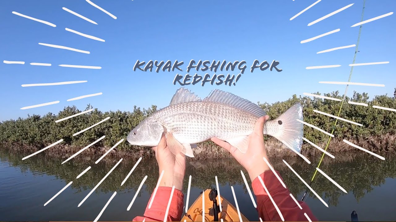 Kayak Fishing For Redfish in South Padre Island (South Bay) in the 2019