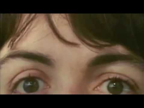 The Beatles - The Fool On The Hill  (Remastered)