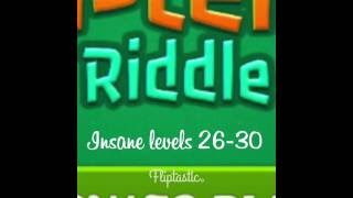 Real Einsteins riddle insane levels 26-30