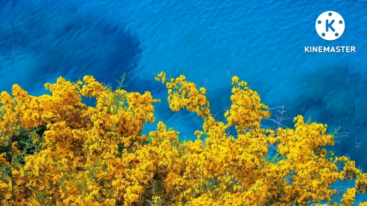 BACKGROUND MUSIC FOR YOUTUBE FREE AND NO COPYRIGHT. - YouTube