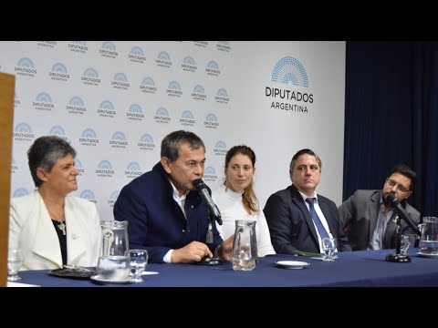 Presentation of the “Formosa Libre” Documentary at the National Congress