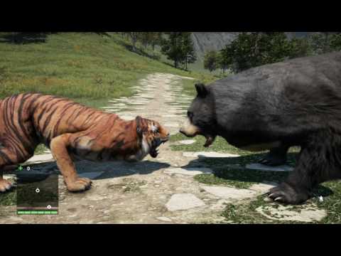 FAR CRY 4: MAP EDITOR [TIGER BENGAL VERSUS WHITE CHESTED BEAR]