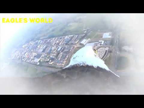 Eagle flight from balloon
