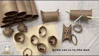 DIY Toilet Paper Roll Toys for Cats  A Craft for You and Your Cat