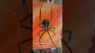 Are you arachnophobic? Black Widow painting in acrylic