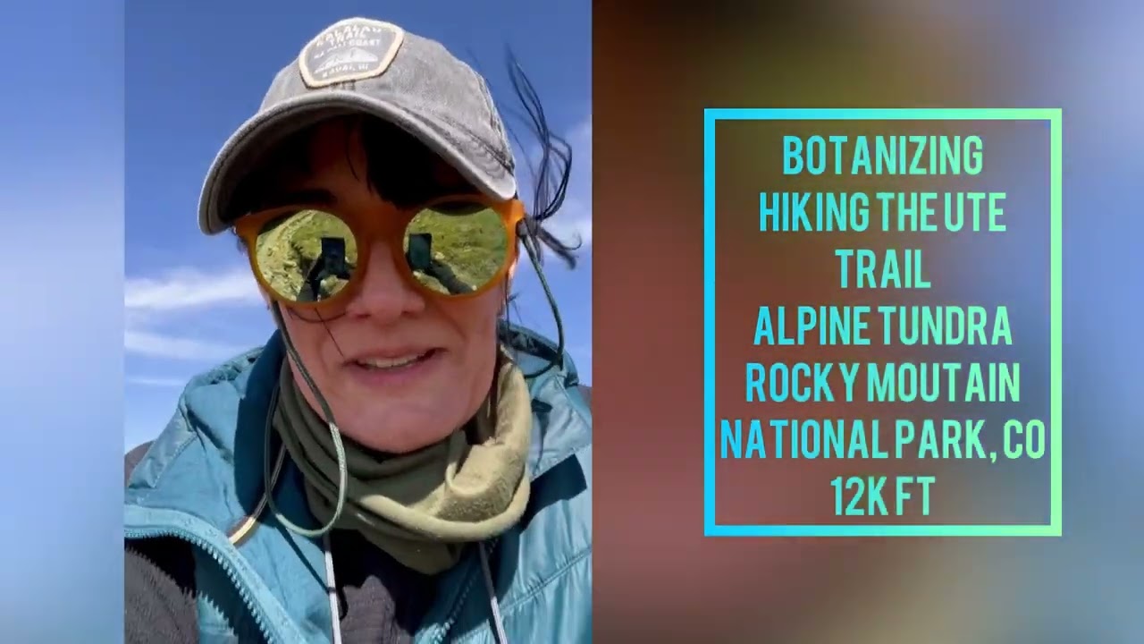 Tiny Plants: Hiking Ute Trail Colorado