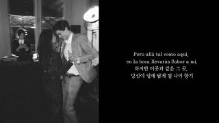 Los panchos - Sabor a mi 해석/한글자막/스페인어자막