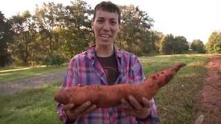 Gadsden County Red Hills Farms/ Farm to Table
