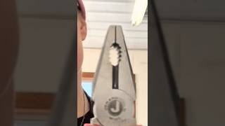Electrician Apprentice shows you how it’s done 🫡 #electrician #tools
