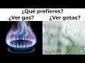 Elijan Sabimente Su Respuesta