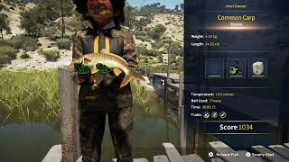 COTW The Angler Anuncios Locales Reserve Common Carp Location Challenge 1