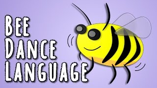 Bee Dance Language - the linguistics behind animal language